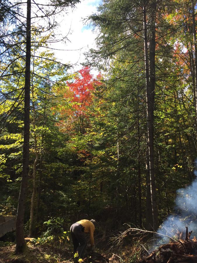 Bed & Breakfast De La Montagne Enchantee