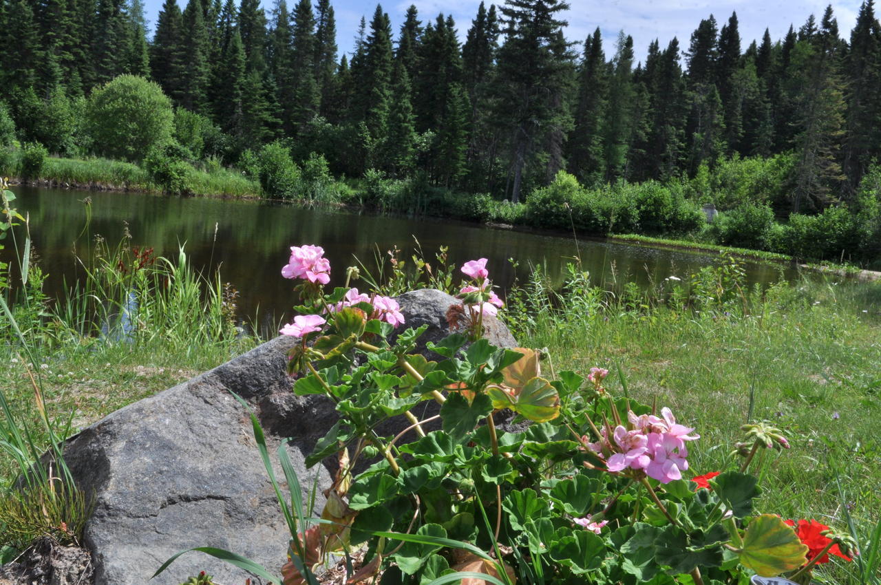 Bed & Breakfast De La Montagne Enchantee